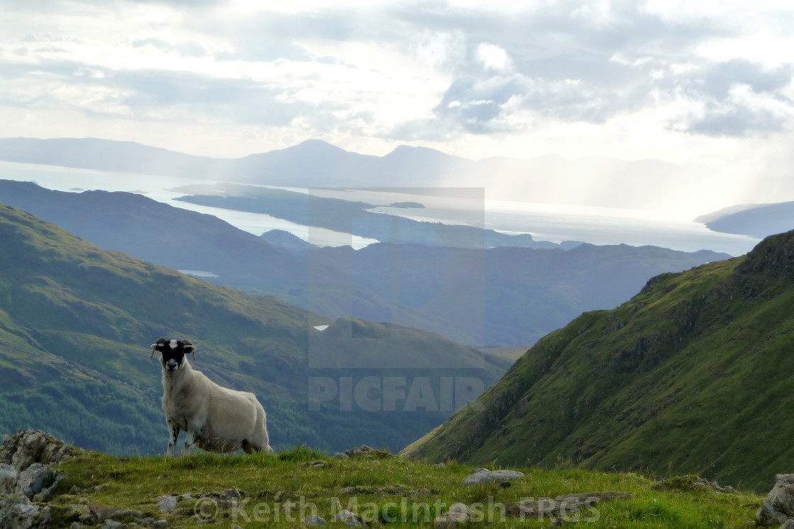 "Below the Thunderbolt" stock image