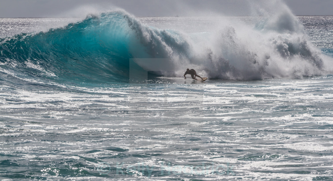 "Surfing in Hawaii" stock image