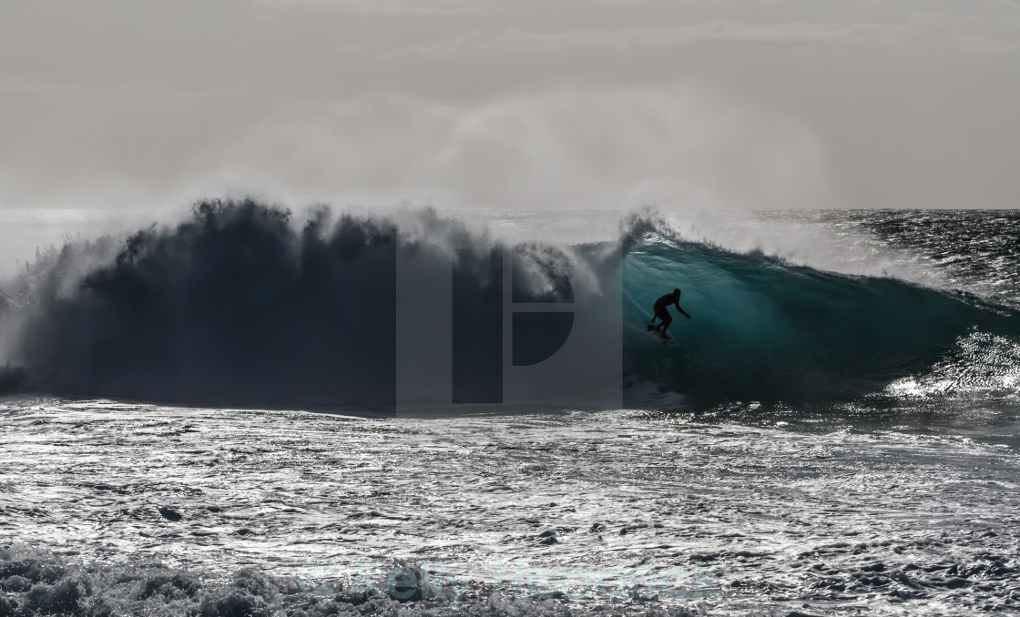 "Surfing in Hawaii" stock image