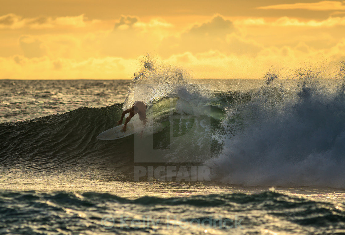 "Surfing in Hawaii" stock image