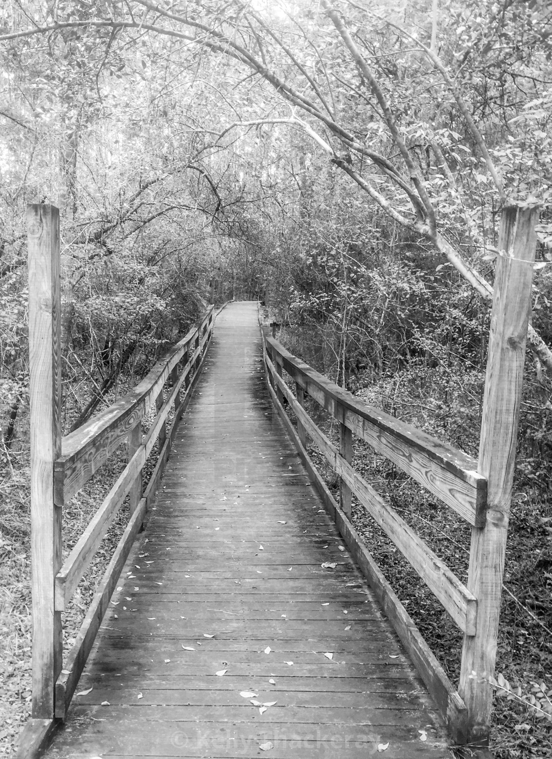"Trail Bridge" by Kelly Thackeray - $31.12 "Trail Bridge" stock image
