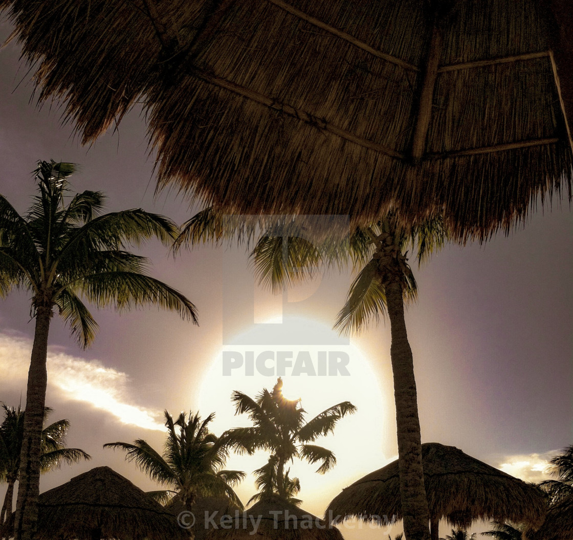 "By the Pool" by Kelly Thackeray - $23.34 "By the Pool" stock image