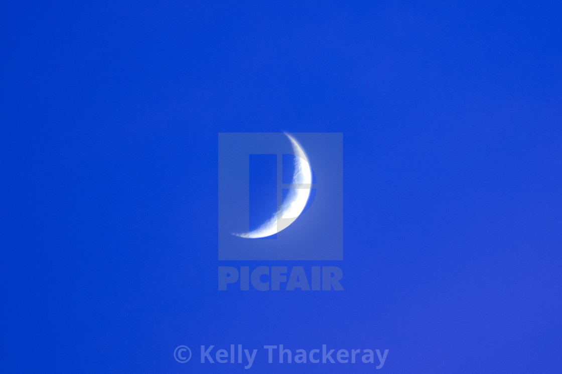 "Quarter Moon" stock image