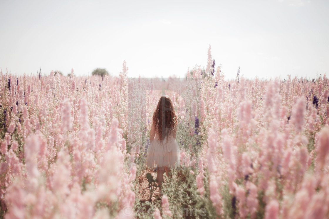 "Confetti flower field" stock image