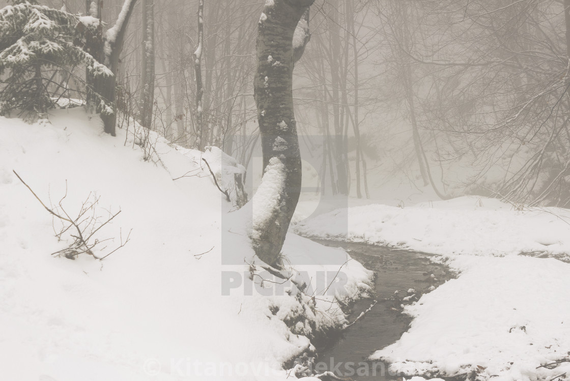 "Snowy stream" stock image