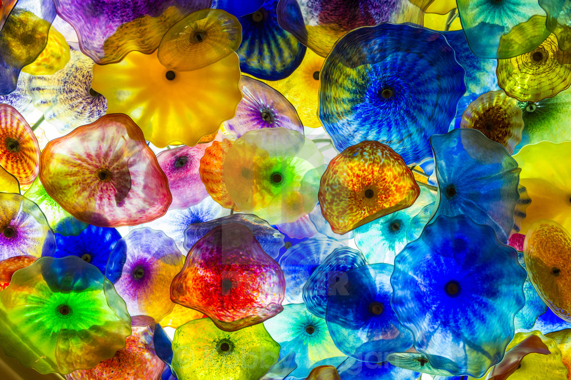 Bellagio Glass Flowers License Download Or Print For 12 40