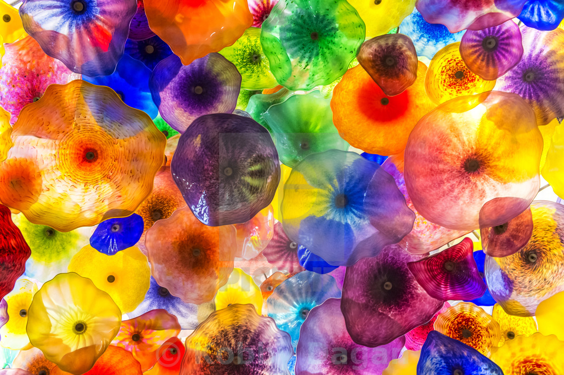 Bellagio Glass Flowers License Download Or Print For