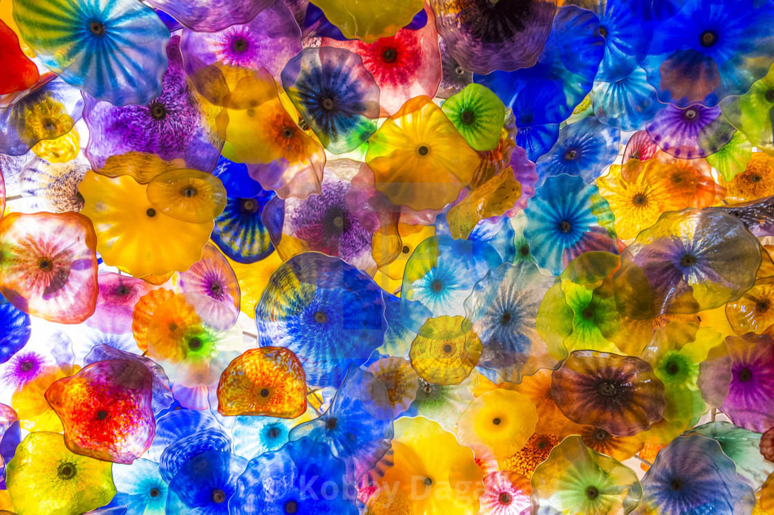 Bellagio Glass Flowers License Download Or Print For