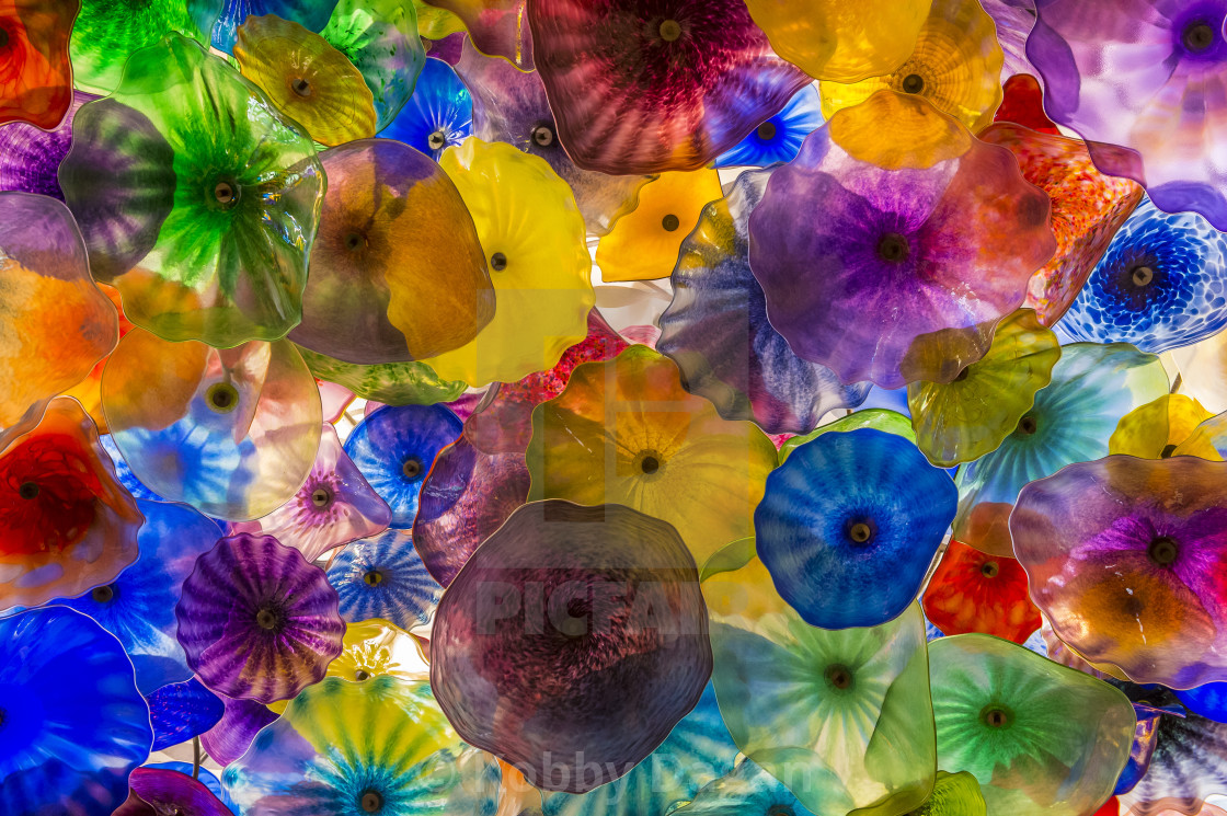 Bellagio Glass Flowers License Download Or Print For