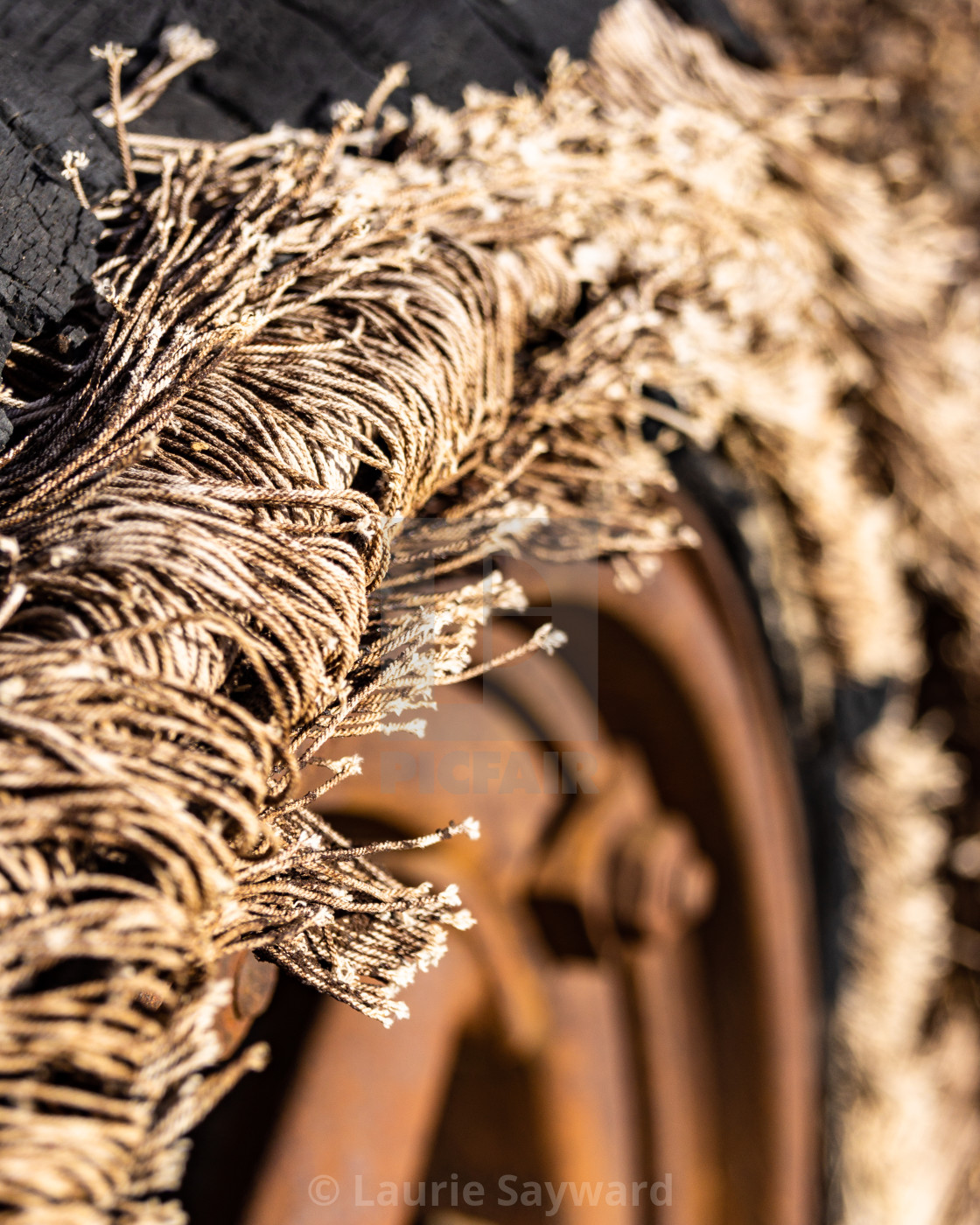 "Disintegrating Tire" by Laurie Sayward - $9.13 "Disintegrating Tire" stock image