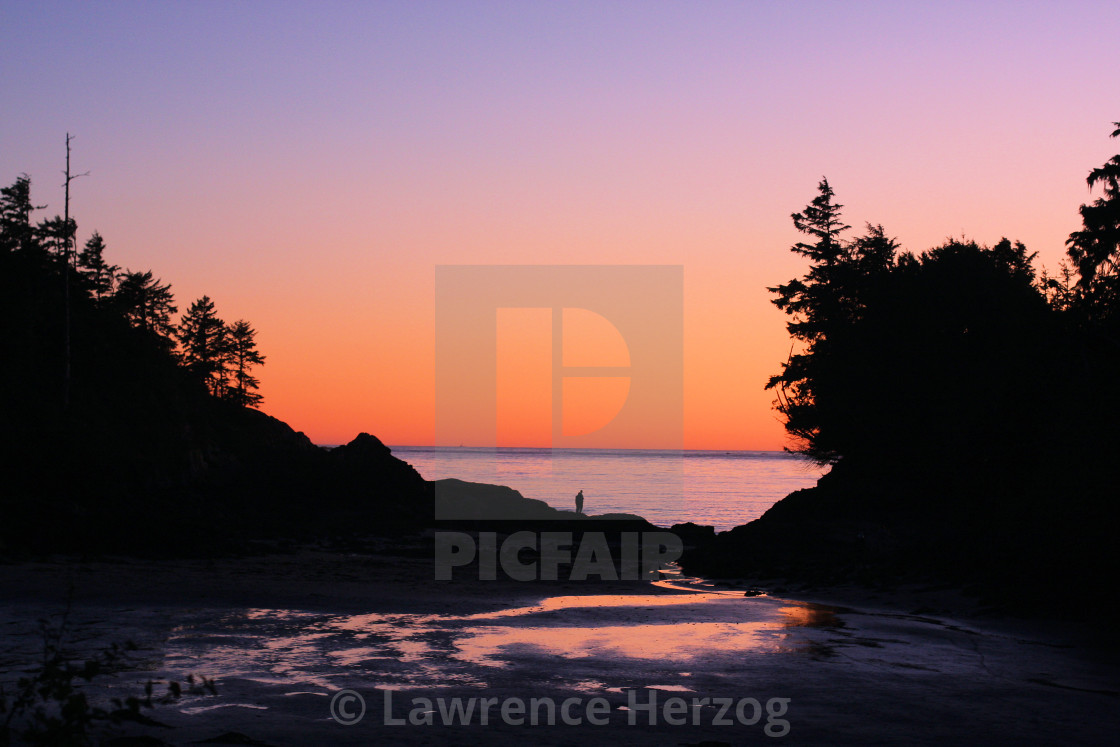 "Tofino twilight" stock image