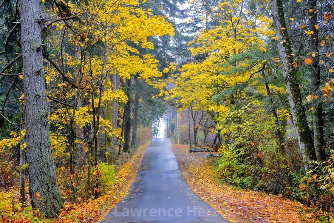 "Take me home country roads" stock image