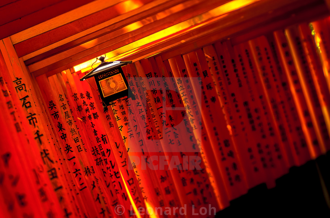 "Thousand Torii Gates" by Leonard Loh - $46.22 "Thousand Torii Gates" stock image