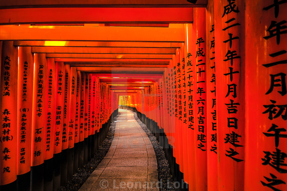 "Thousands Torri Gates" by Leonard Loh - $46.22 "Thousands Torri Gates" stock image