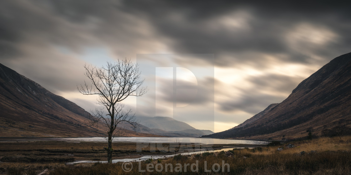 "Lone Tree at Loch Etive" stock image