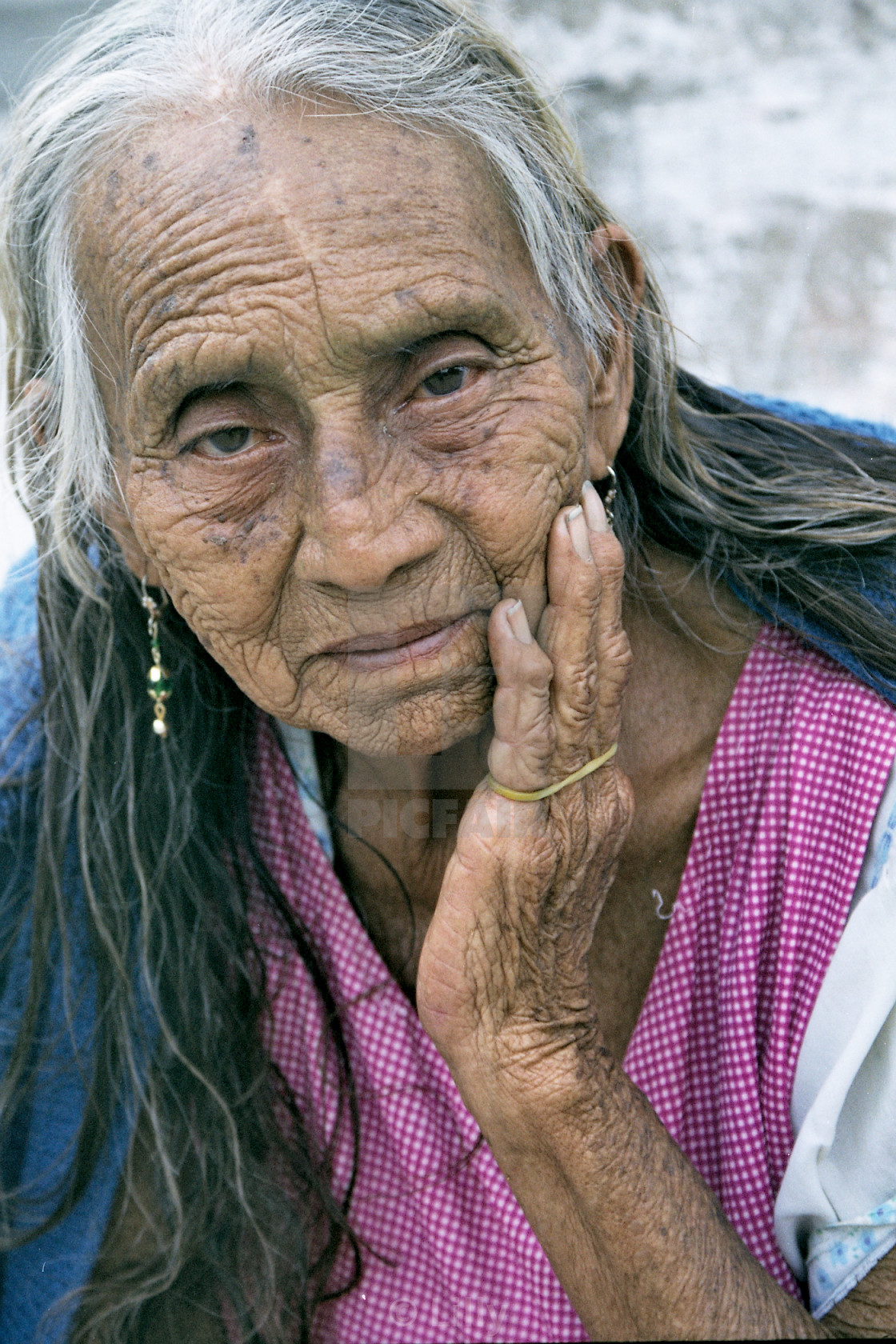 Old Indian Lady License Download Or Print For 12 40 Photos Picfair