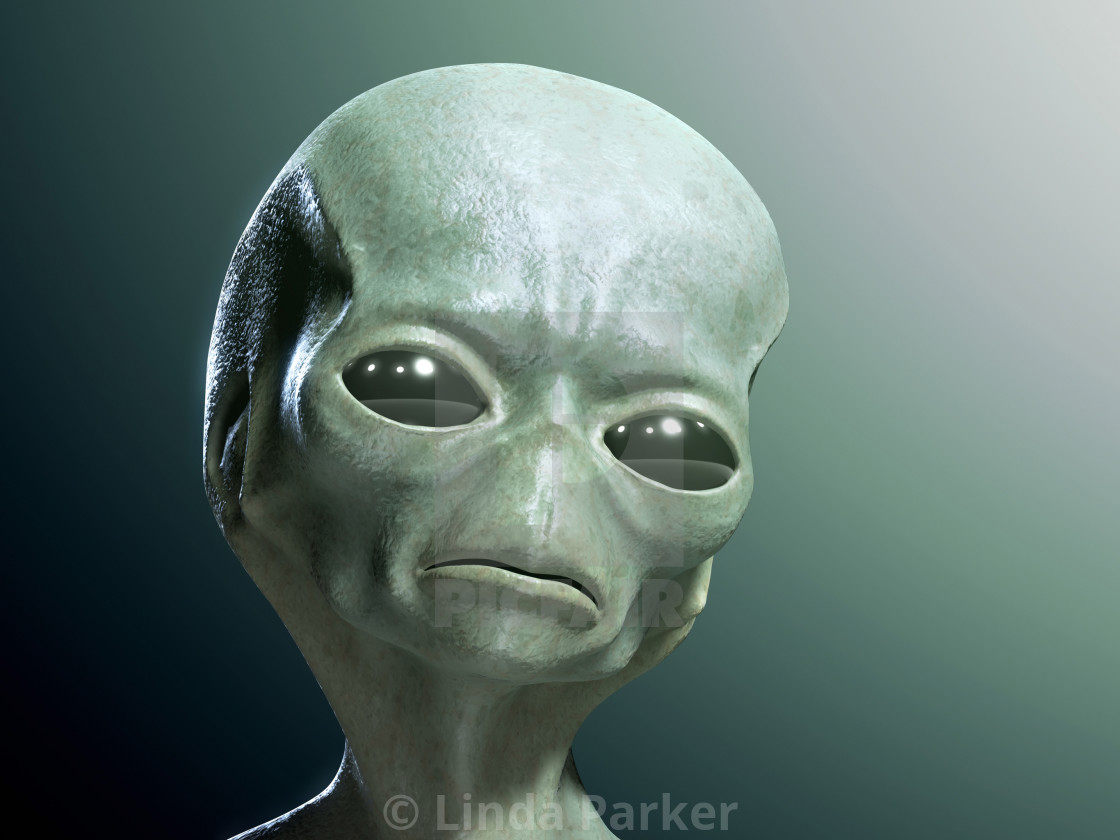 Alien License Download Or Print For 125 24 Photos Picfair