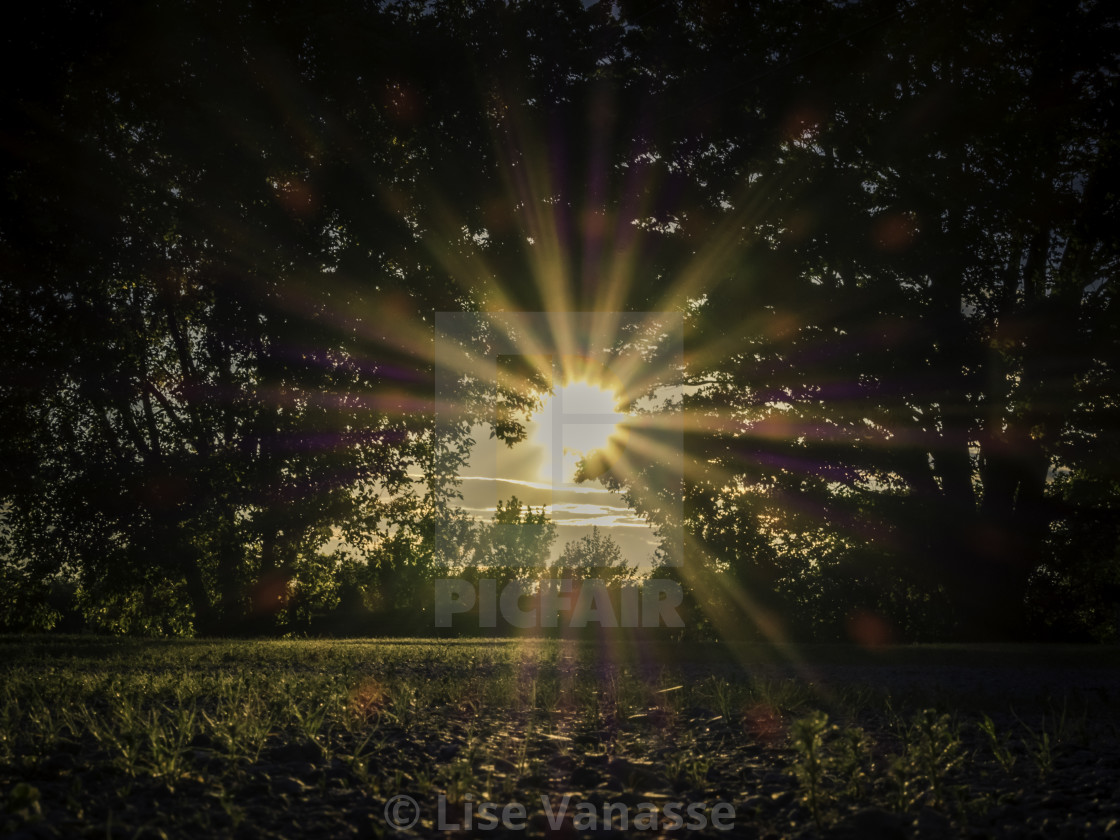 The Sun With Bright Rays License Download Or Print For