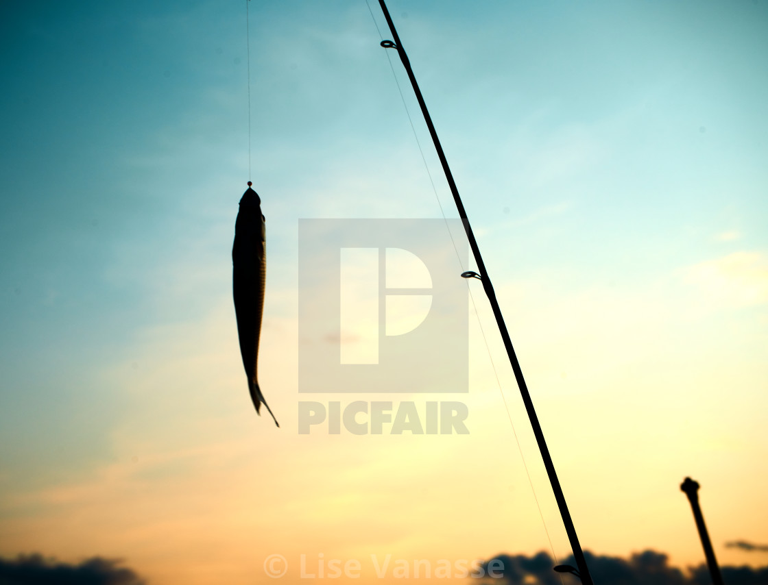 "Fishing at sunset." by Lise Vanasse - $1.52 "Fishing at sunset." stock image