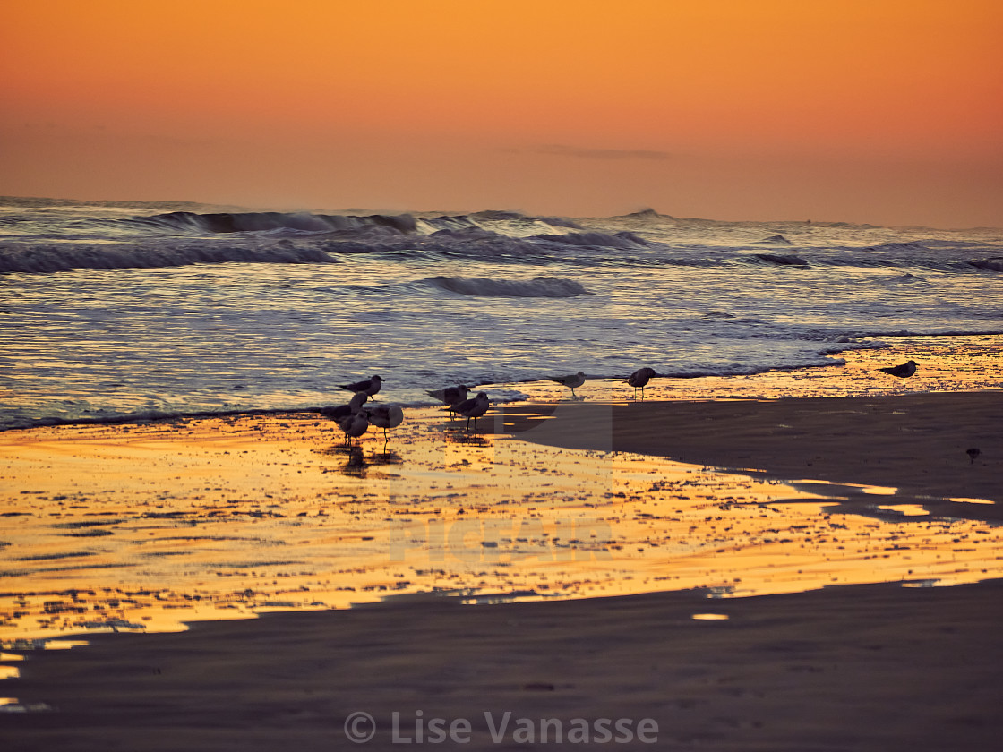 "On the beach of DaytonaBeach." by Lise Vanasse - $1.52 "On the beach of DaytonaBeach." stock image