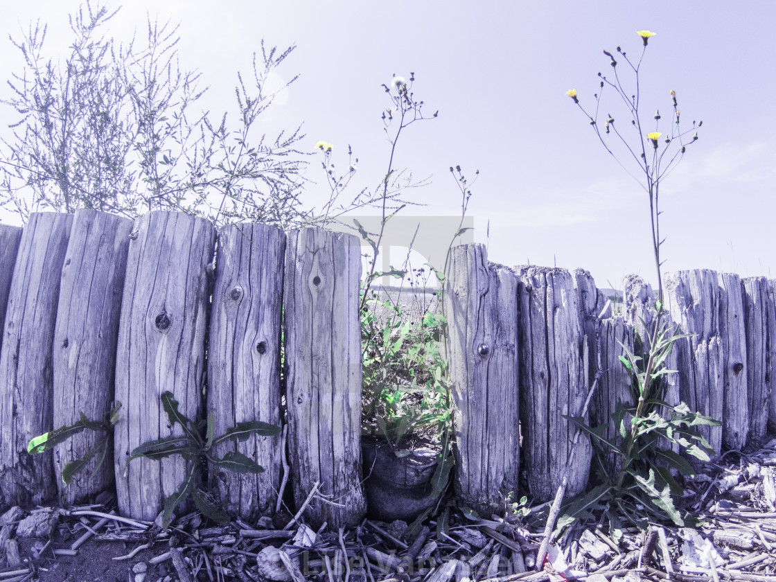 "A fence made of logs." by Lise Vanasse - $1.52 "A fence made of logs." stock image