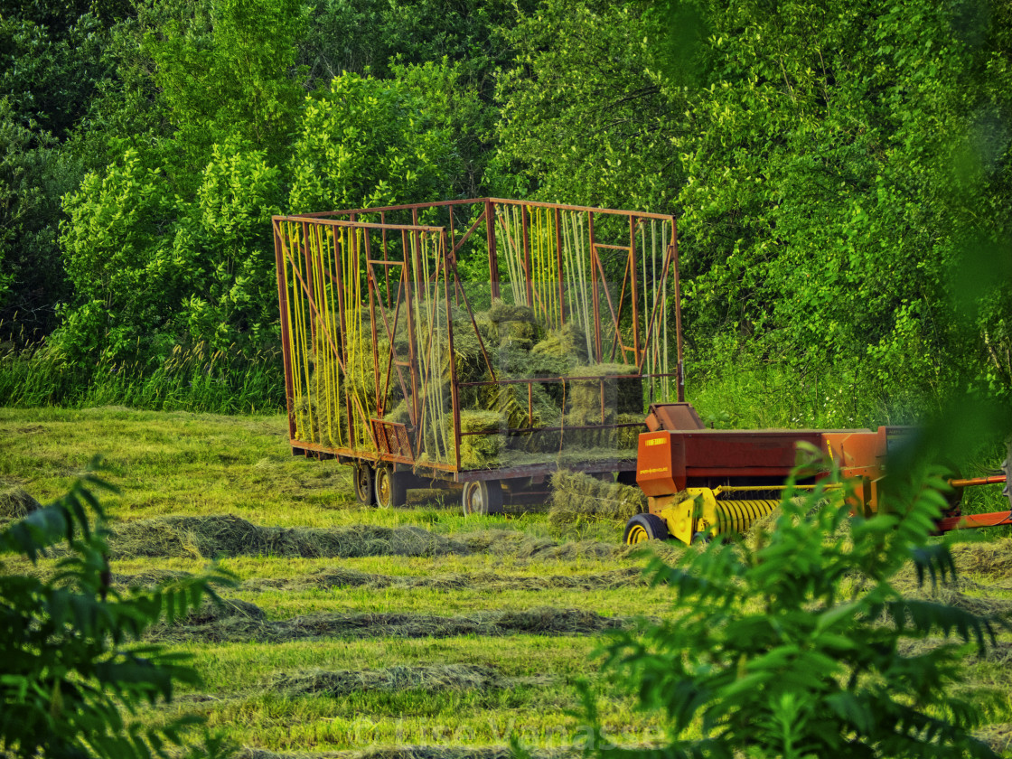 "It's hay time." by Lise Vanasse - $1.52 "It's hay time." stock image