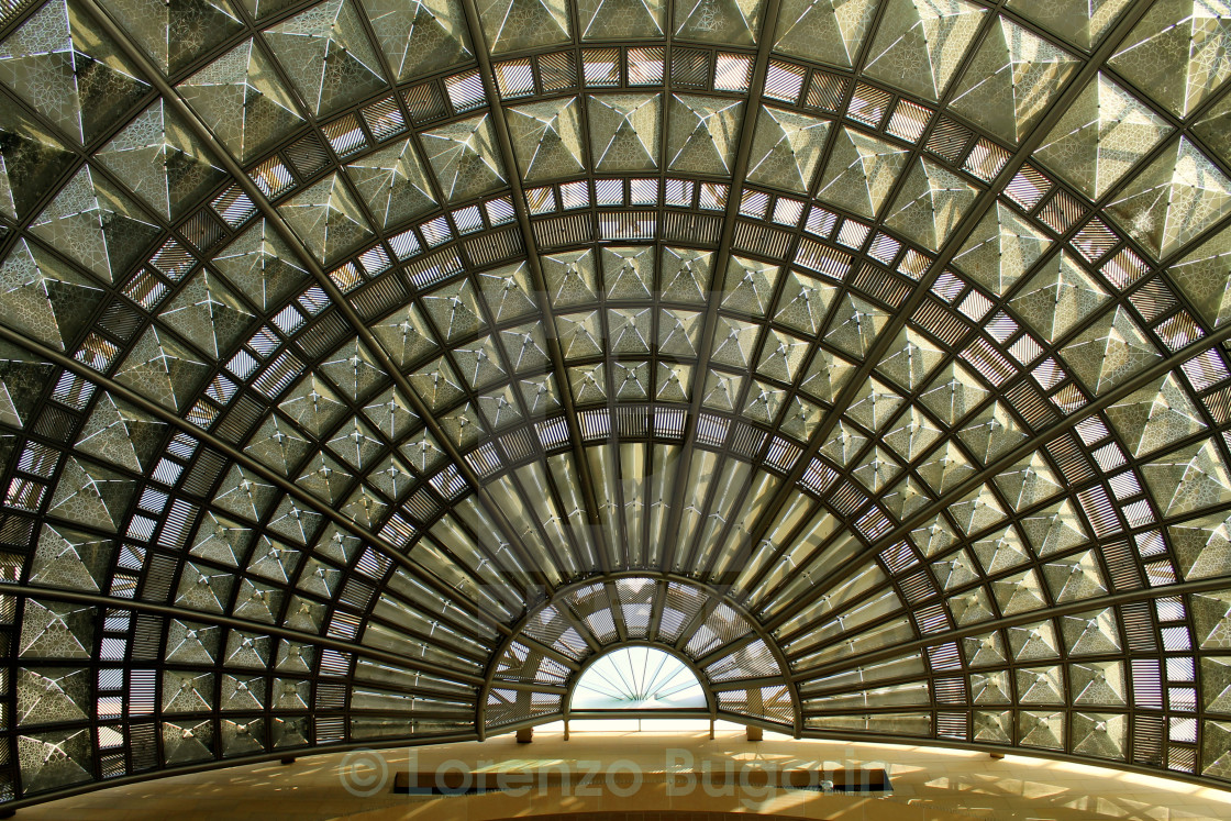 "Looking Up" stock image