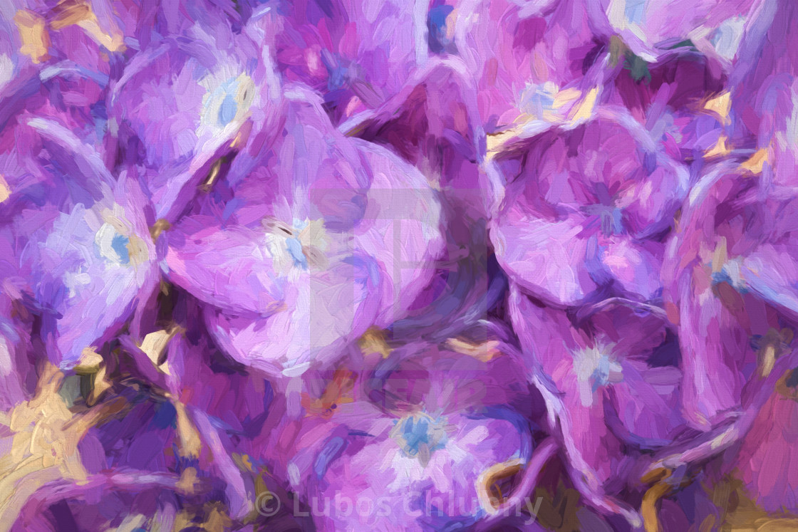 Oil Painting Blue Hydrangea Flowers License Download Or Print