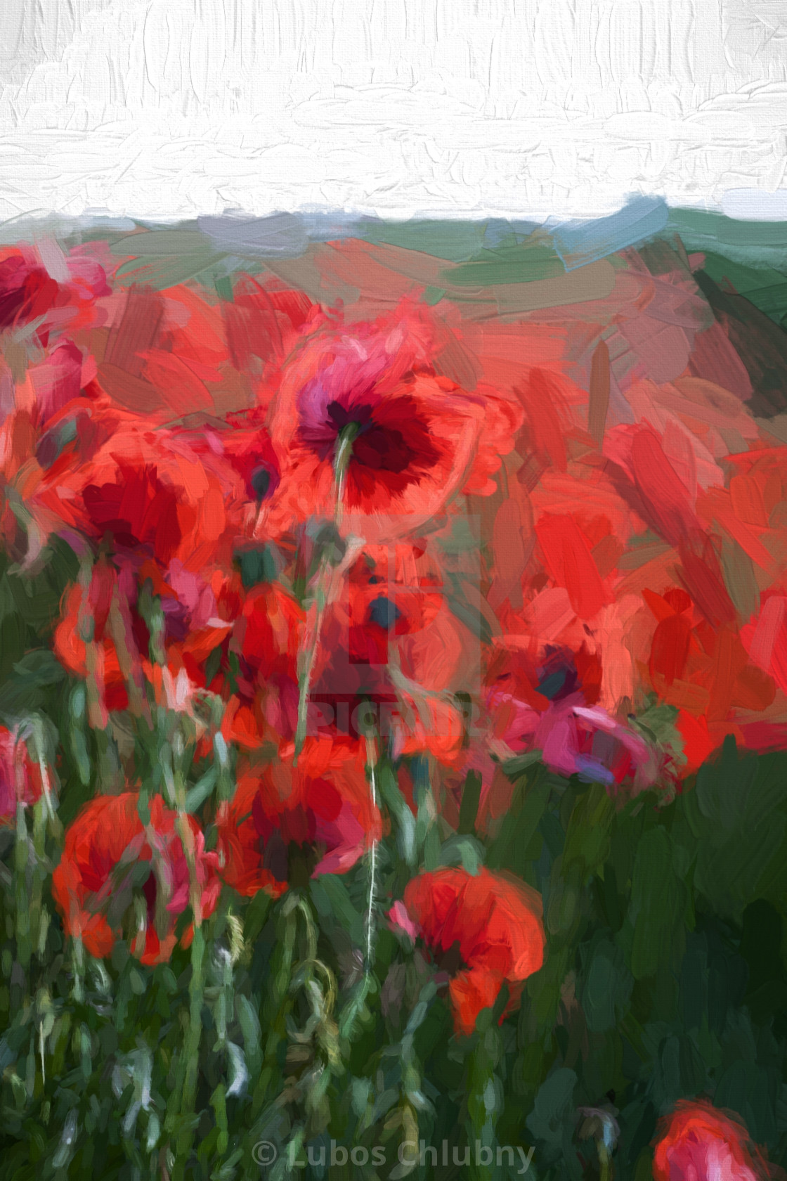 Oil Painting Summer Landscape Field Of Poppies With Storm Clouds
