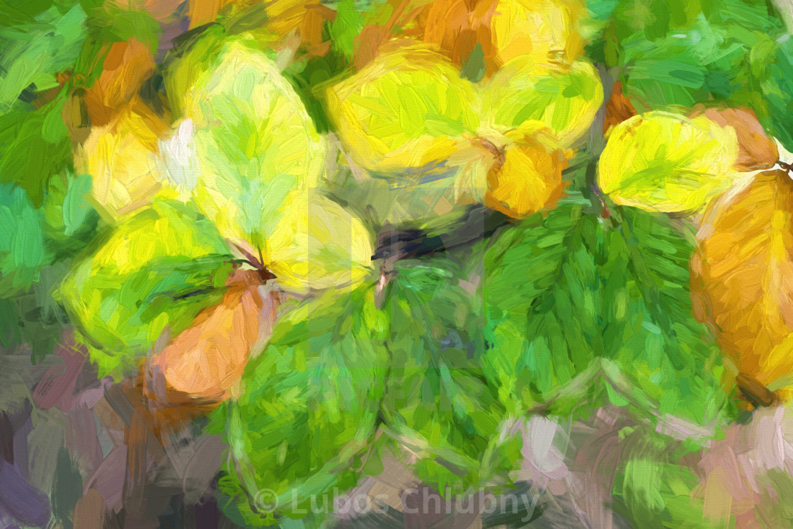 Oil Painting Autumn Leaves In Forest License Download Or Print