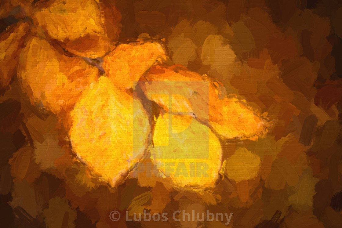 Oil Painting Autumn Leaves In Forest License Download Or Print