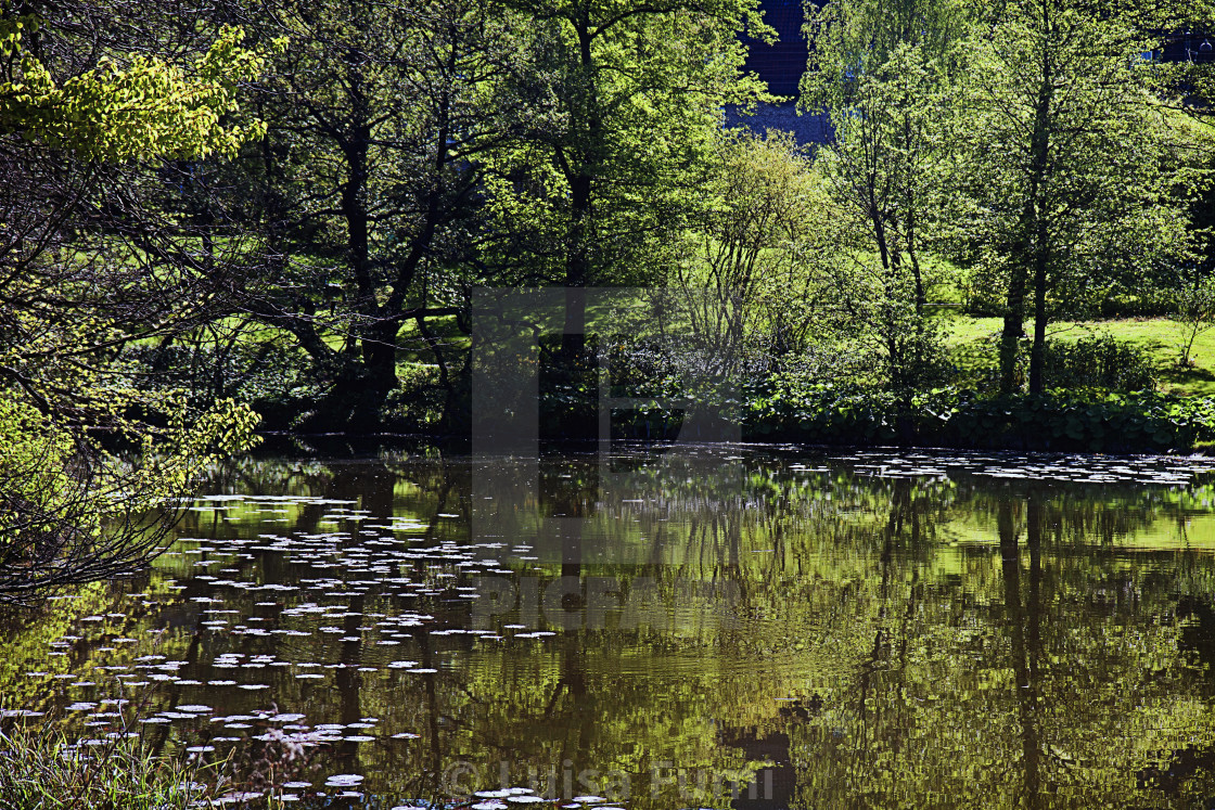 "Pond in Copenhagen park" stock image