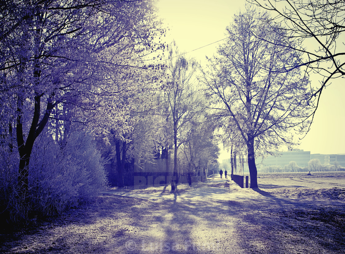 "Cold weather in winter light, Bavarian countryside" stock image