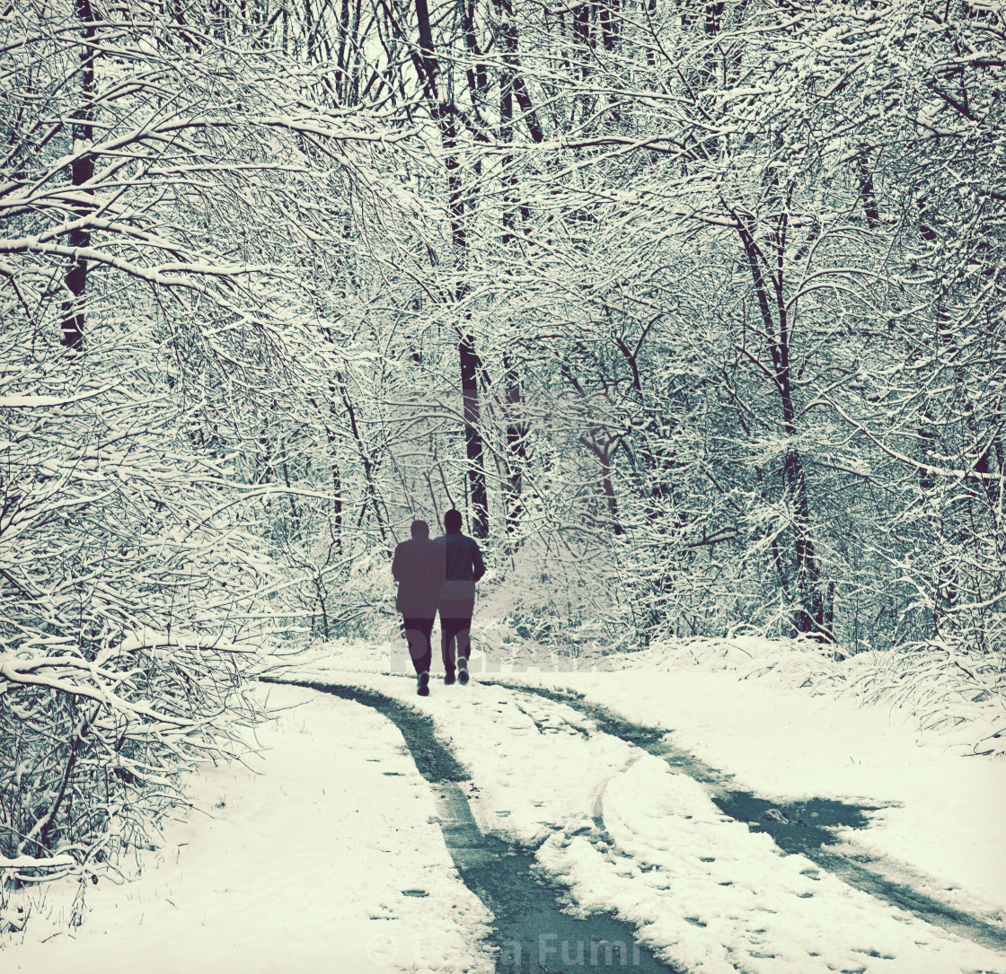 "Couple go for a walk among trees covered by snow" stock image