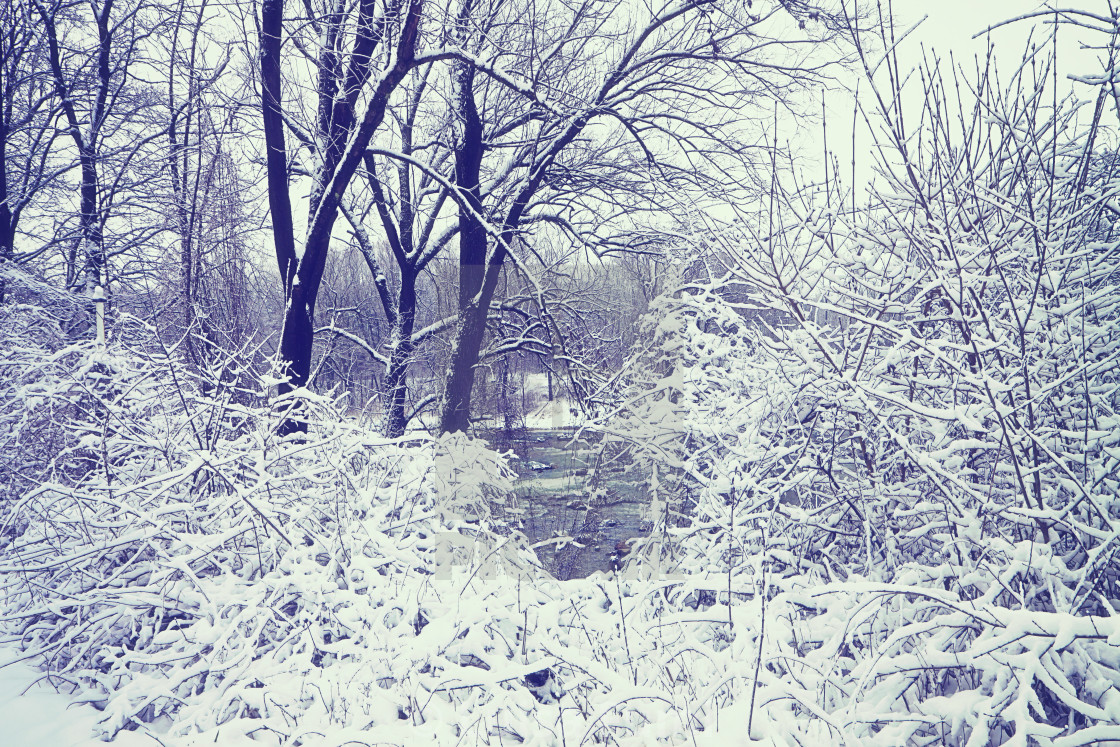 "Winter in Bavaria, Germany - beautiful view of Isar river among branches..." stock image