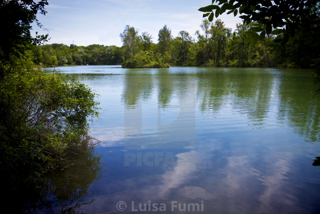 "Germany, Bavaria, summer view of Poschinger Weiher lake near Munich, green..." stock image