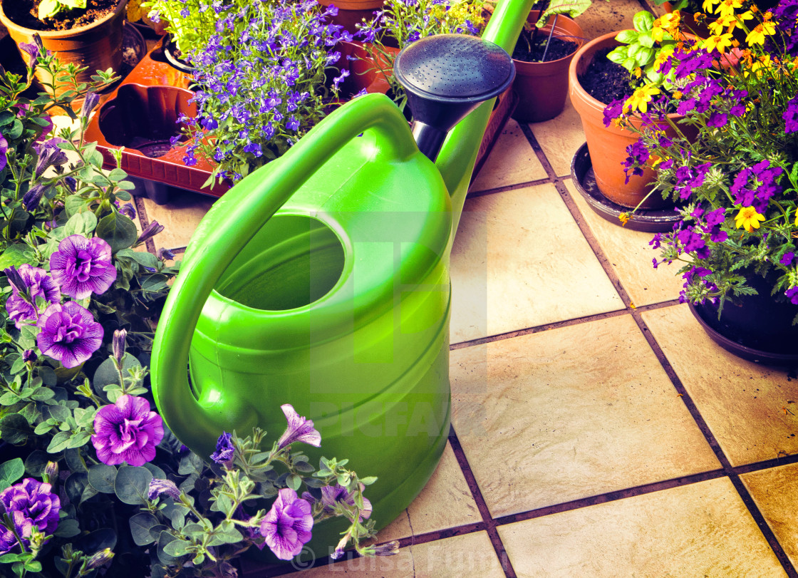 "leisure time, gardening on the terrace" stock image