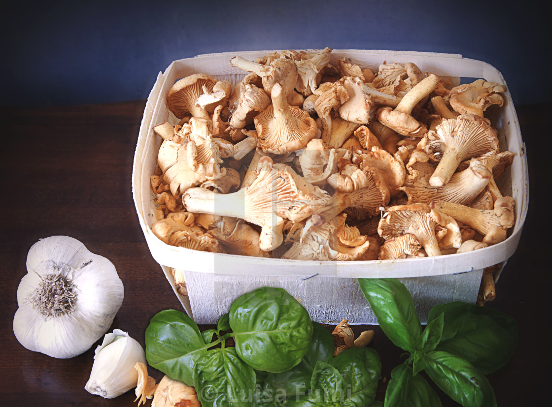 "Fresh chanterelles with garlic and basil" stock image