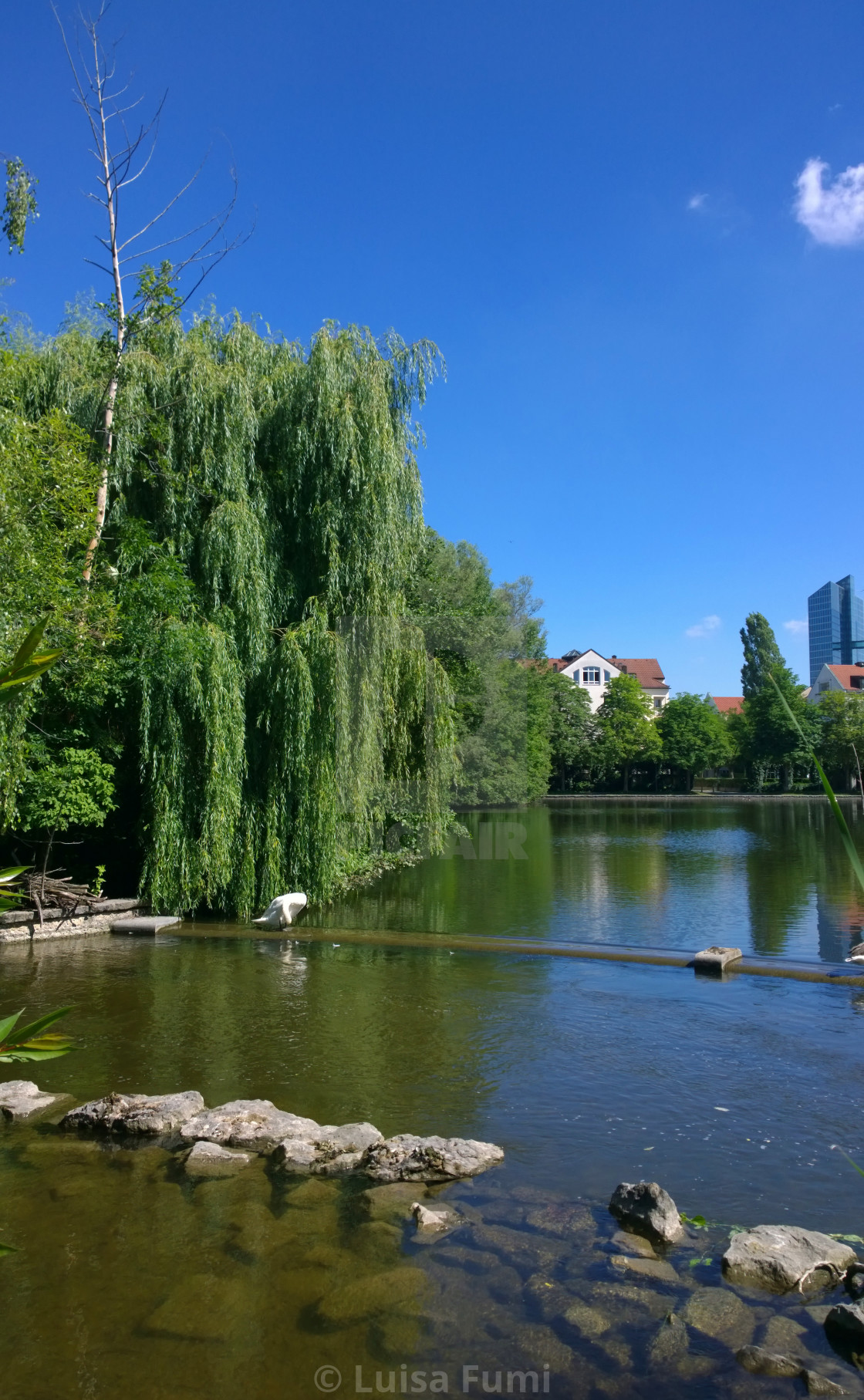 "Munich cityscape, idyllic view of Schwabinger See" stock image