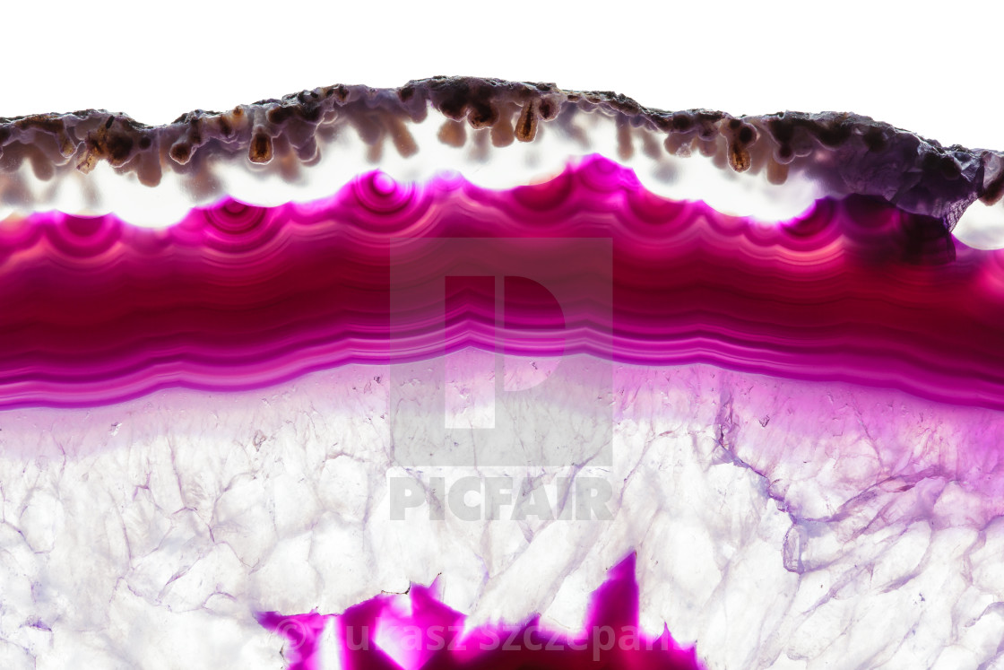 Purple Violet Agate Slice Striped Mineral Isolated On White