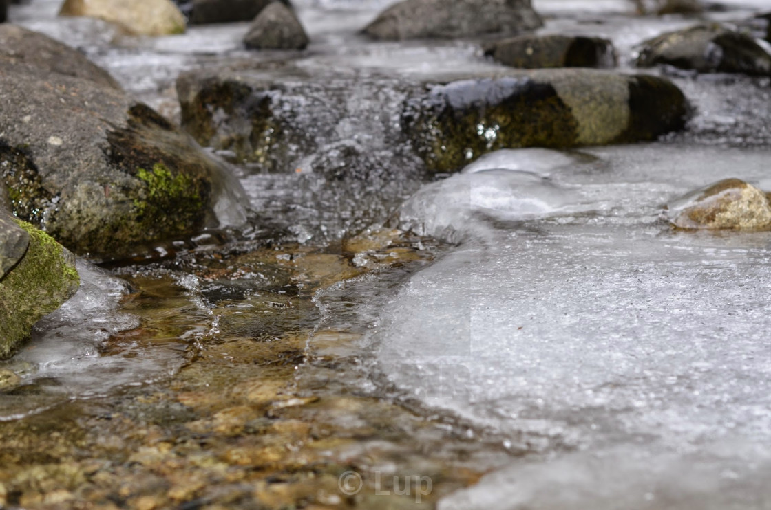 "Cold as ice" by Lup - $7.65 "Cold as ice" stock image
