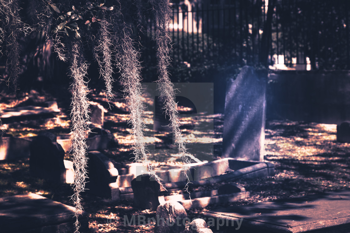 "Old spooky graveyard in South Carolina" stock image