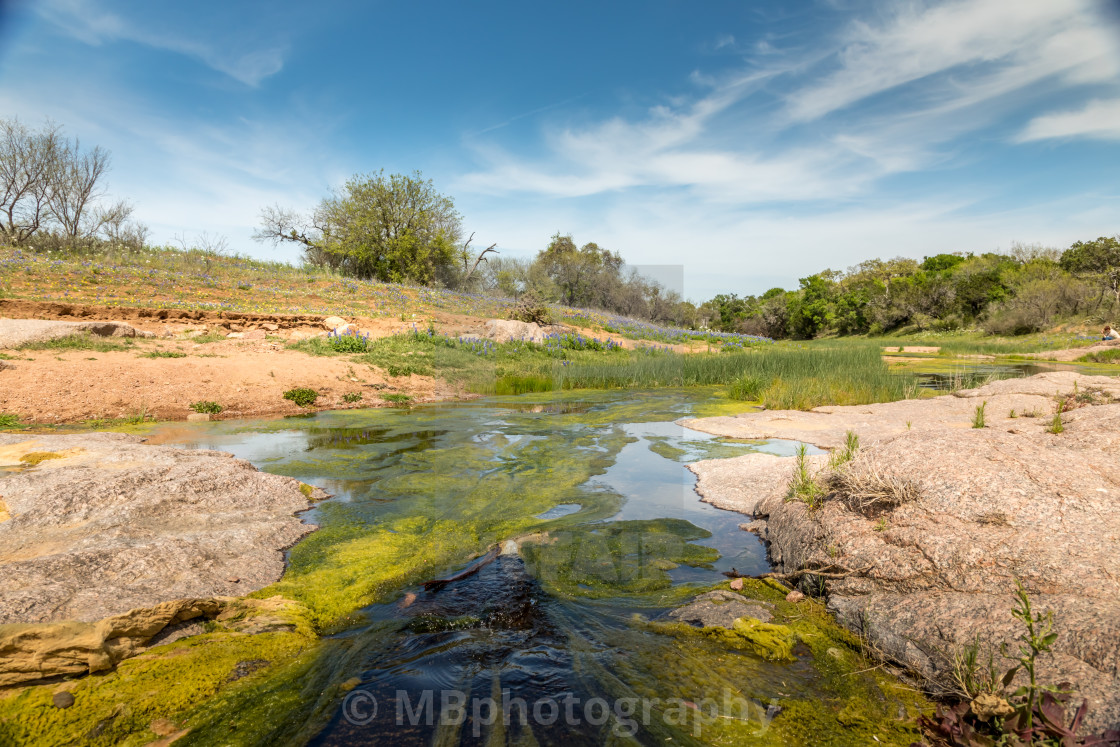 "Willow City loop, Texan landscape in spring with wildflowers" stock image