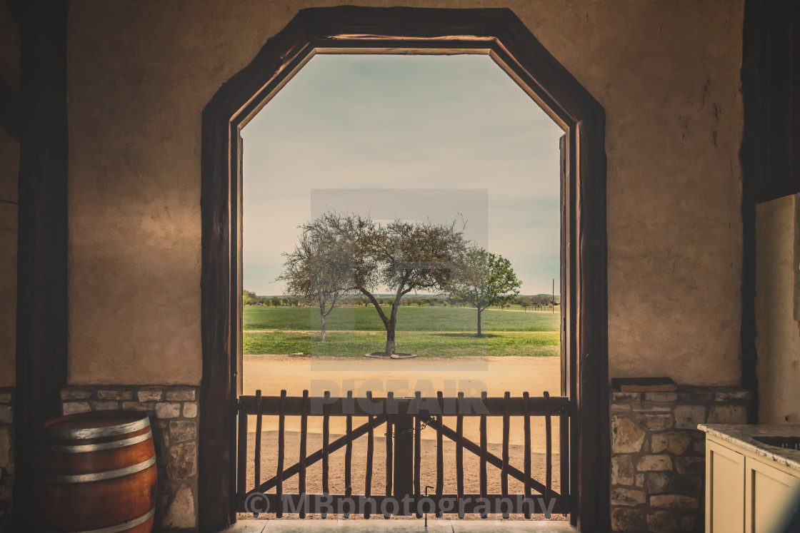 "View from inside of a rustic barn to meadow and tree" stock image