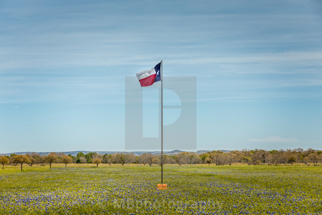 "View of a meadow with the Texas flag and Bluebonnet Wildflowers" stock image