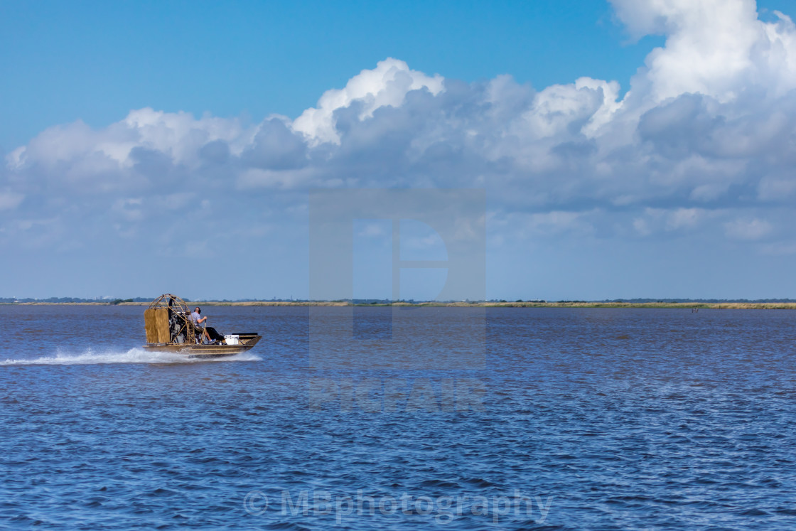 "Airboat ride in the swamps of Texas, Gulf of Mexico" stock image