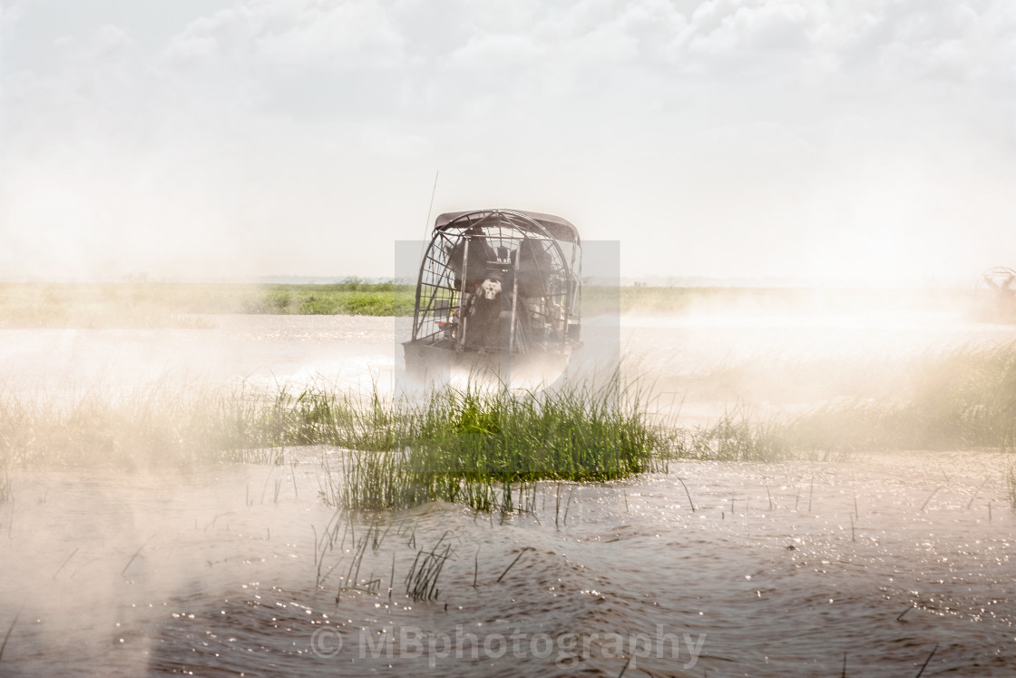 "Magic misty morning. Everglades airboat ride in South Florida, N" stock image