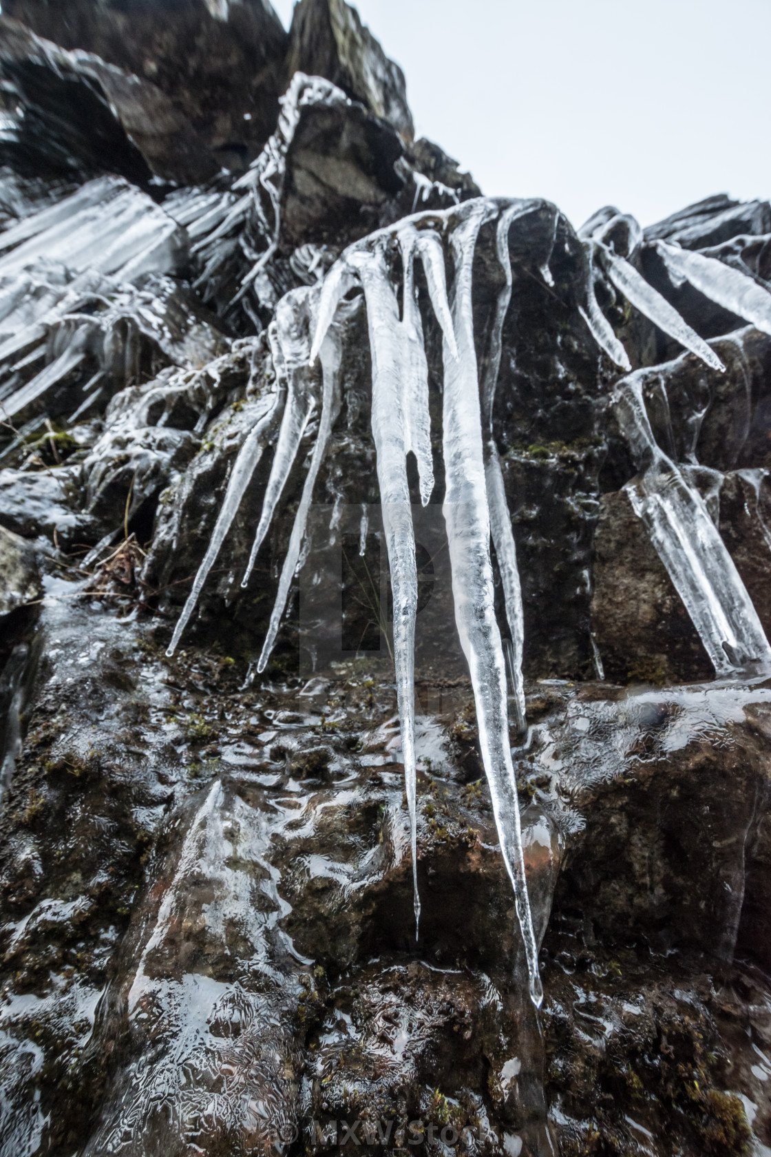 Icicle Hanging From Rock Wall Frozen License Download Or Print For 4 46 Photos Picfair Icicle Hanging From Rock Wall Frozen License Download Or Print For 4 46 Photos Picfair