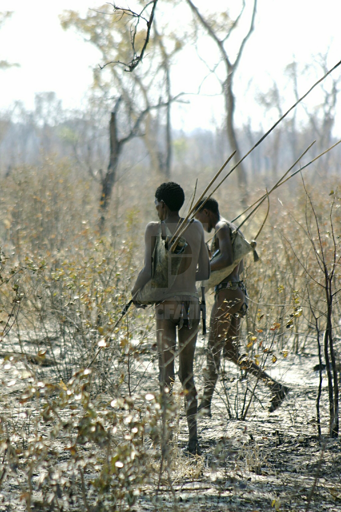 "Hunting" stock image