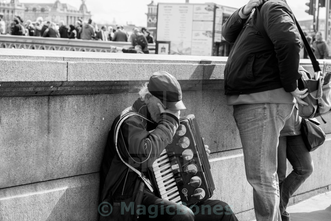 "Accordion Player" stock image